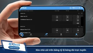 kèo nhà cái trên bảng tỷ lệ bóng đá trực tuyến